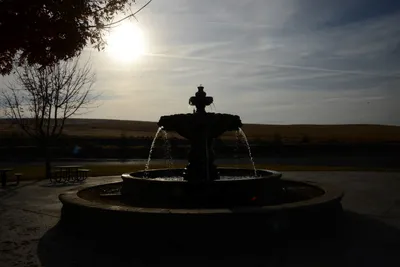 DSC_2869 (Large).JPG